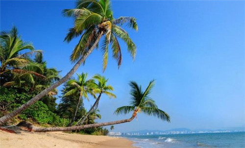 柚谷谷烘焙、蛋糕