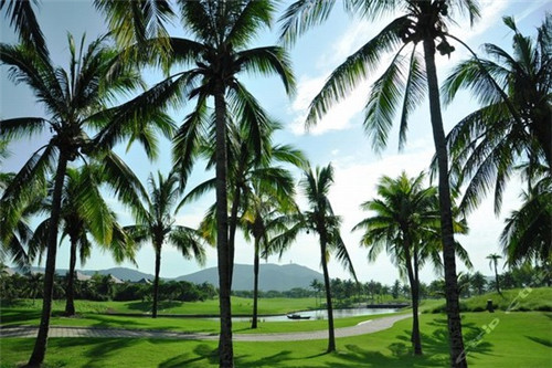 虞城县手机游戏运营商加盟店最火爆的项目投资小