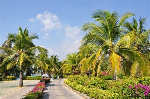 黄金锁加盟没经验开什么店好，黄金加盟店一年能赚多少钱