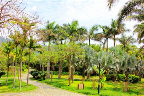 武夷山市车载低音炮加盟店最火爆的项目投资小