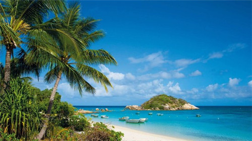 怎样开面包店创业方案书