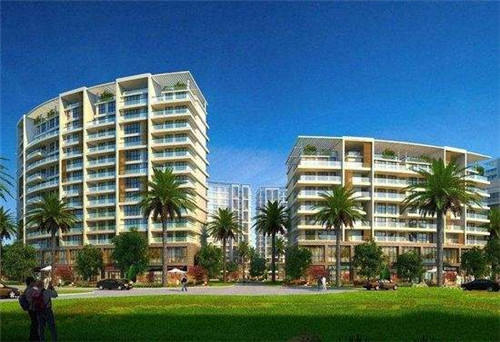 漈头村向日葵（2021永嘉向日葵）