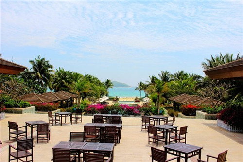 浅田真央索契自由滑之前（浅田真央索契冬奥会排名）