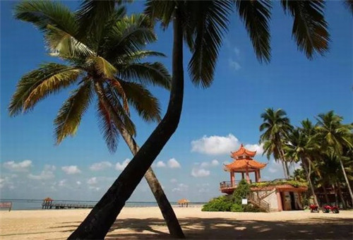 加盟鸡洞鸡排创业前景如何，适合90后的炸鸡项目有哪些